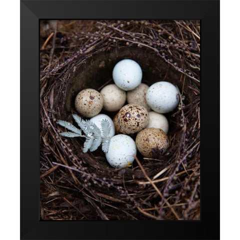 Winter Nest Detail I Black Modern Wood Framed Art Print by Soderman, Tania