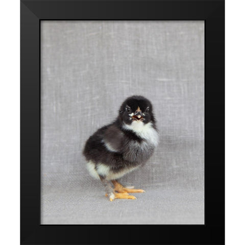 Sage Black Modern Wood Framed Art Print by Soderman, Tania