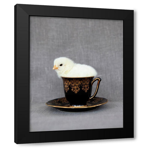 Crema Black Modern Wood Framed Art Print by Soderman, Tania