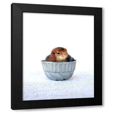 Tiny Baker II Black Modern Wood Framed Art Print with Double Matting by Soderman, Tania