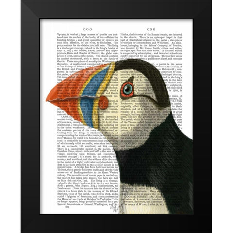 Puffin Portrait Black Modern Wood Framed Art Print by Fab Funky