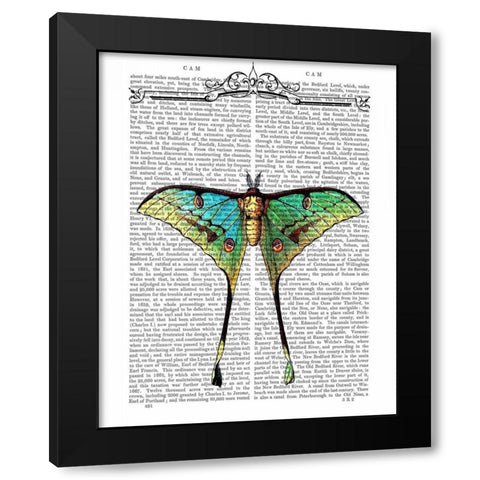 Butterfly 1 Black Modern Wood Framed Art Print by Fab Funky