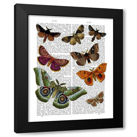 Moth Plate 2 Black Modern Wood Framed Art Print by Fab Funky