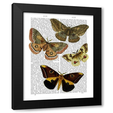 Moth Plate 3 Black Modern Wood Framed Art Print by Fab Funky