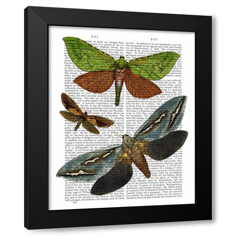 Butterflies 3 Black Modern Wood Framed Art Print by Fab Funky