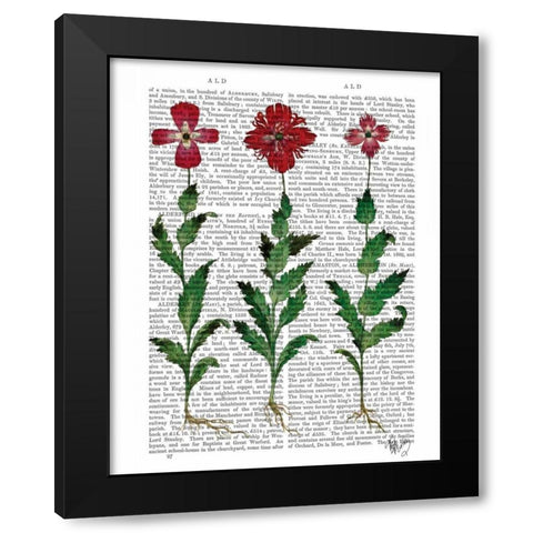 Italian Carnation 1 Black Modern Wood Framed Art Print with Double Matting by Fab Funky