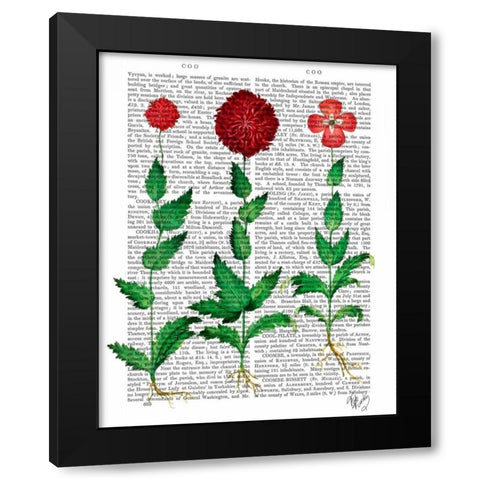 Italian Carnation 2 Black Modern Wood Framed Art Print by Fab Funky