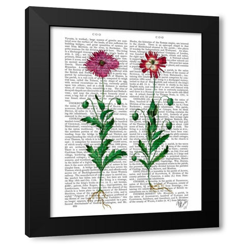 Italian Carnation 3 Black Modern Wood Framed Art Print by Fab Funky