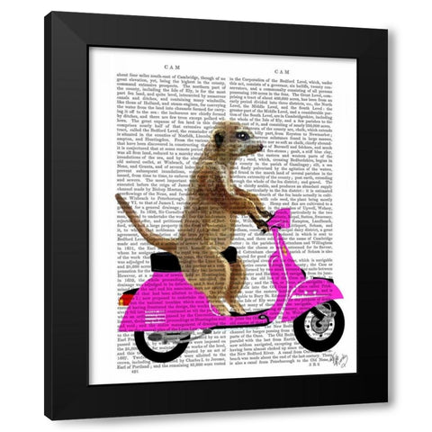 Meerkat on Pink Moped Black Modern Wood Framed Art Print by Fab Funky