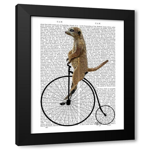 Meerkat on Black Penny Farthing Black Modern Wood Framed Art Print by Fab Funky