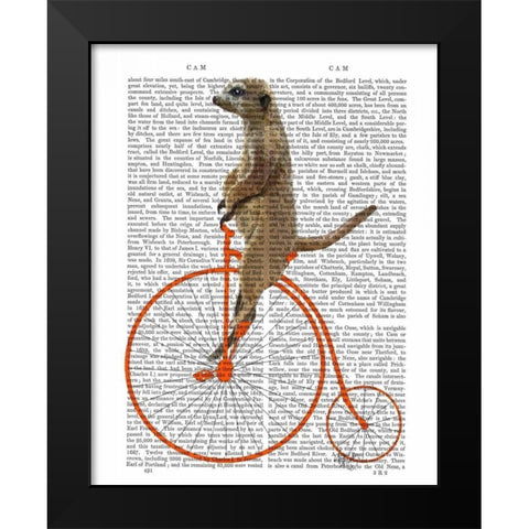 Meerkat on Orange Penny Farthing Black Modern Wood Framed Art Print by Fab Funky