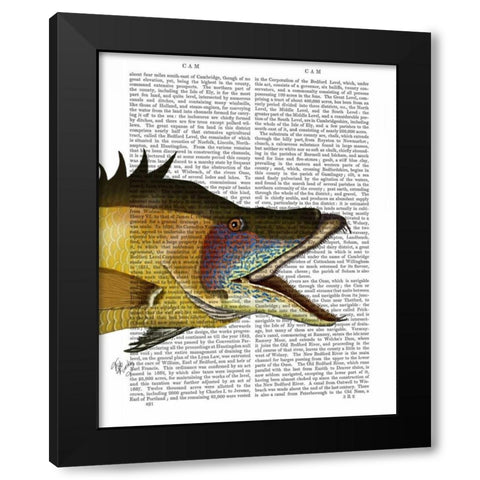 Great Hog Fish Black Modern Wood Framed Art Print with Double Matting by Fab Funky