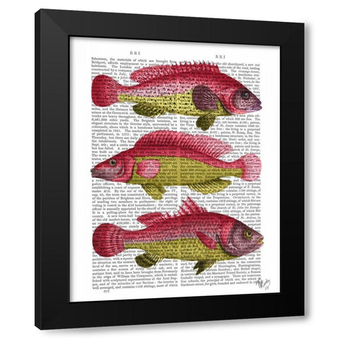 Red and Yellow Fantasy Fish Trio Black Modern Wood Framed Art Print by Fab Funky