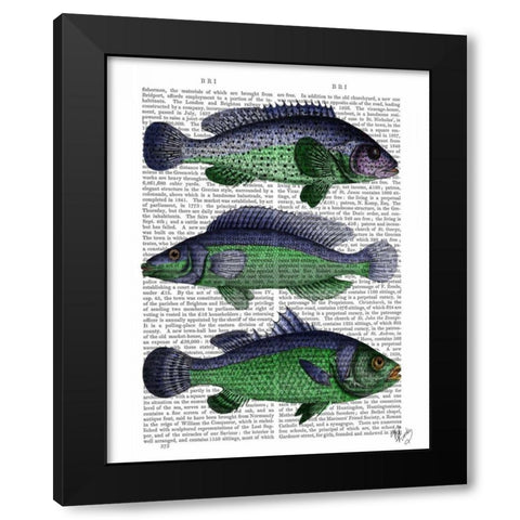 Blue and Green Fish Trio Black Modern Wood Framed Art Print with Double Matting by Fab Funky
