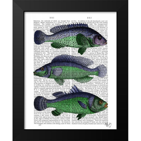 Blue and Green Fish Trio Black Modern Wood Framed Art Print by Fab Funky
