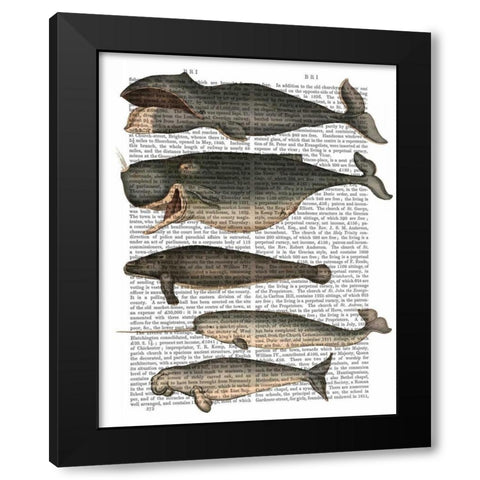 Five Vintage Whales Black Modern Wood Framed Art Print with Double Matting by Fab Funky