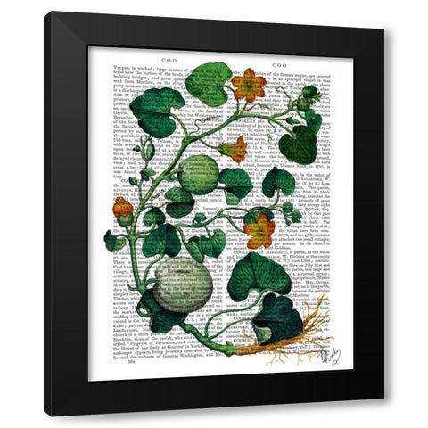 Squash Vine 2 Black Modern Wood Framed Art Print by Fab Funky