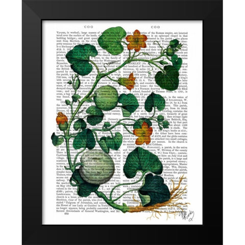 Squash Vine 2 Black Modern Wood Framed Art Print by Fab Funky