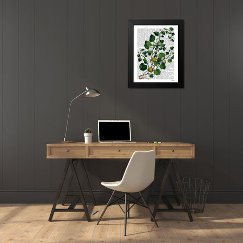 Squash Vine 4 Black Modern Wood Framed Art Print by Fab Funky