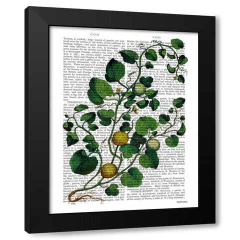 Squash Vine 4 Black Modern Wood Framed Art Print by Fab Funky