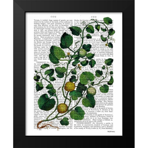 Squash Vine 4 Black Modern Wood Framed Art Print by Fab Funky
