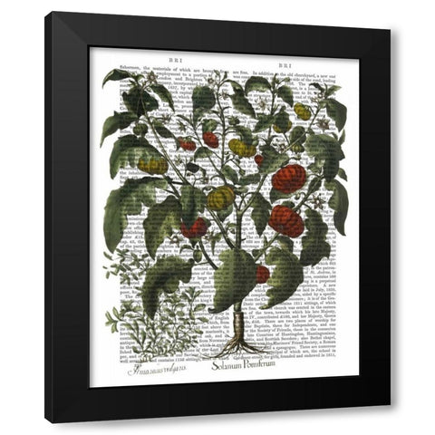 Peppers 2 Black Modern Wood Framed Art Print by Fab Funky