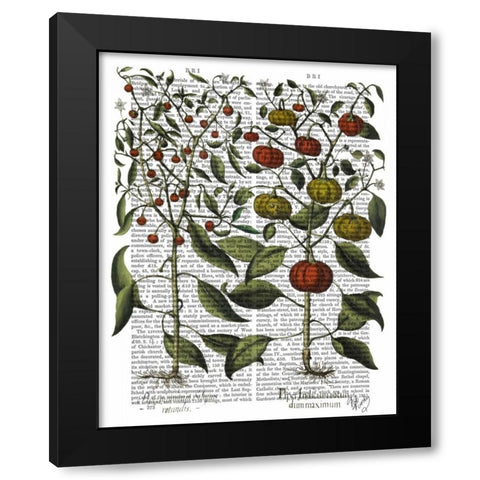 Peppers 4 Black Modern Wood Framed Art Print by Fab Funky