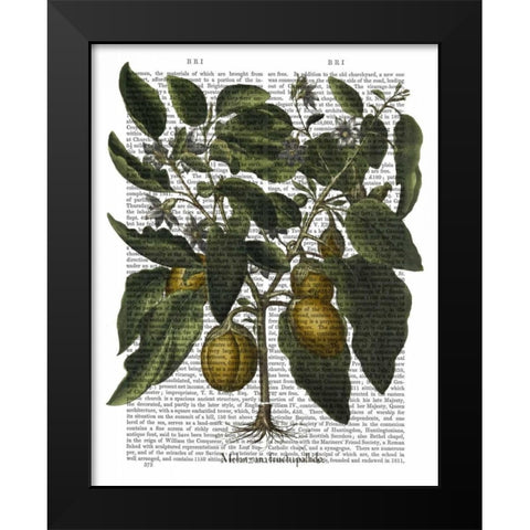 Peppers 6 Black Modern Wood Framed Art Print by Fab Funky