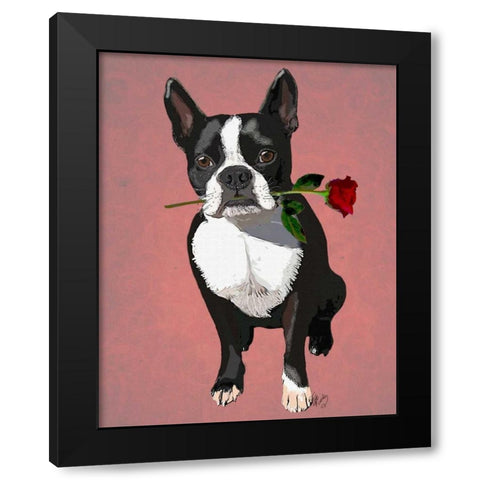 Boston Terrier with Rose in Mouth Black Modern Wood Framed Art Print by Fab Funky
