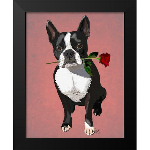 Boston Terrier with Rose in Mouth Black Modern Wood Framed Art Print by Fab Funky