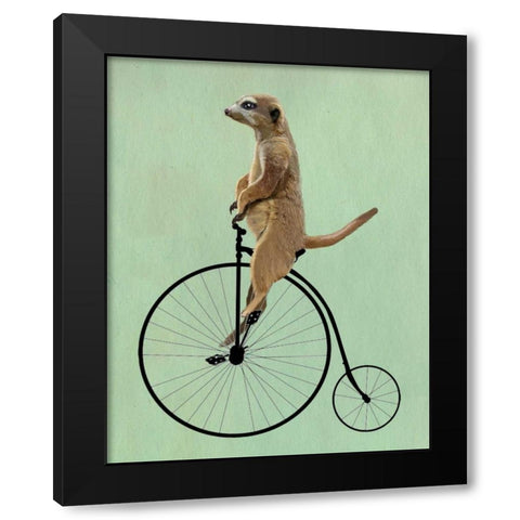Meerkat on Black Penny Farthing Black Modern Wood Framed Art Print by Fab Funky