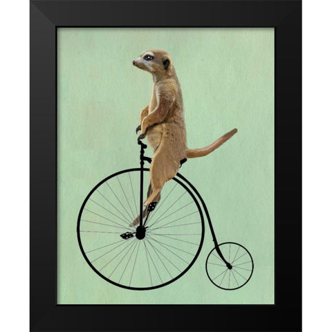 Meerkat on Black Penny Farthing Black Modern Wood Framed Art Print by Fab Funky
