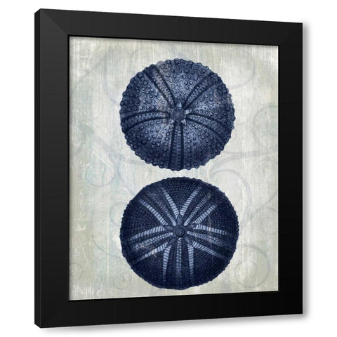Indigo Blue Sea Urchins a Black Modern Wood Framed Art Print with Double Matting by Fab Funky