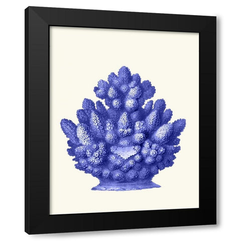 Haeckel Hexacoralla Coral Blue Black Modern Wood Framed Art Print with Double Matting by Fab Funky
