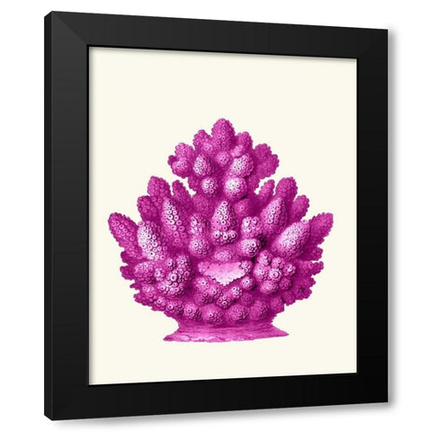 Haeckel Hexacoralla Coral Pink Black Modern Wood Framed Art Print by Fab Funky