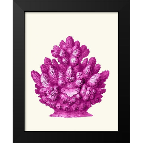 Haeckel Hexacoralla Coral Pink Black Modern Wood Framed Art Print by Fab Funky
