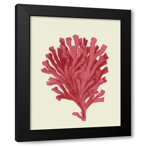 Corals Coral On Cream d Black Modern Wood Framed Art Print with Double Matting by Fab Funky