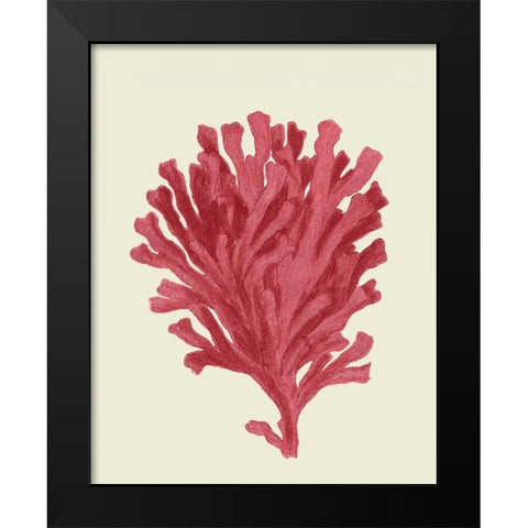 Corals Coral On Cream d Black Modern Wood Framed Art Print by Fab Funky