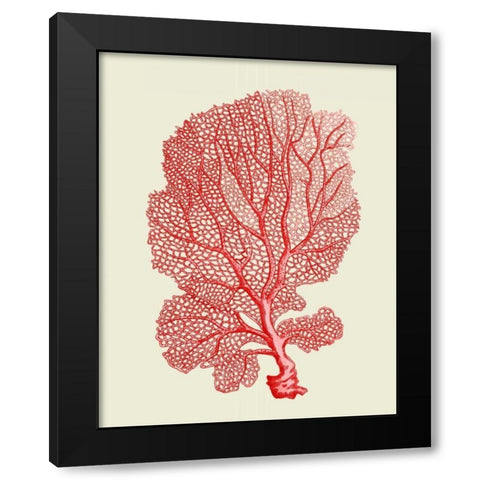 Red Corals 1 b Black Modern Wood Framed Art Print by Fab Funky