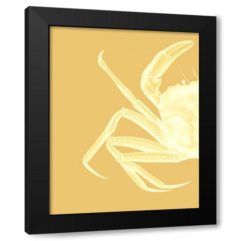 Contrasting Crab in Mustard a Black Modern Wood Framed Art Print with Double Matting by Fab Funky