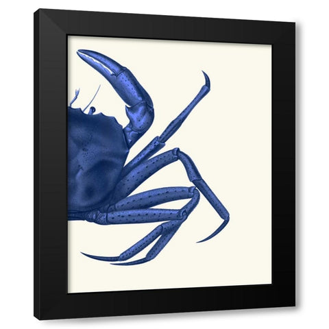 Contrasting Crab in Navy Blue b Black Modern Wood Framed Art Print by Fab Funky