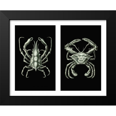 Crabs On Black in 2 panels Black Modern Wood Framed Art Print by Fab Funky