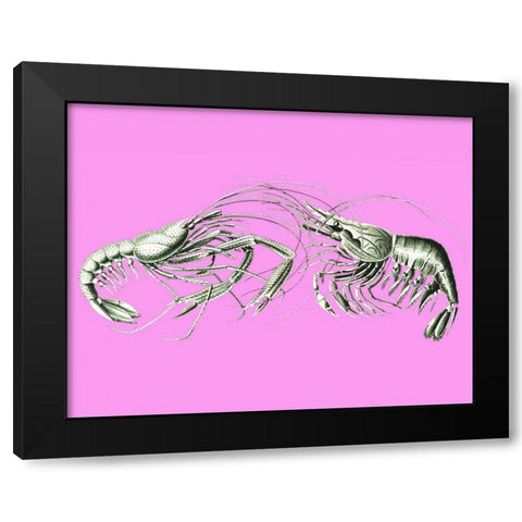 Shrimps On Pink Black Modern Wood Framed Art Print by Fab Funky