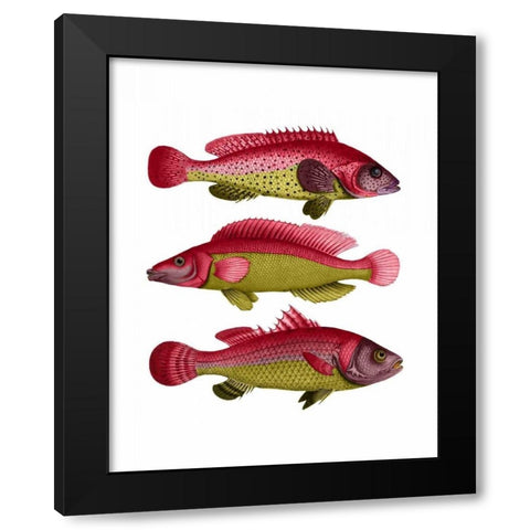 Red and Yellow Fantasy Fish Trio Black Modern Wood Framed Art Print by Fab Funky