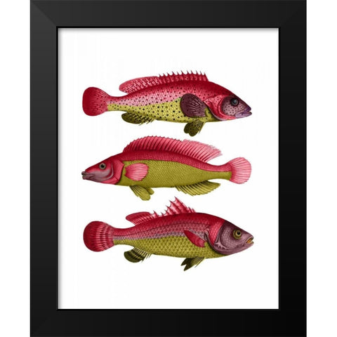 Red and Yellow Fantasy Fish Trio Black Modern Wood Framed Art Print by Fab Funky