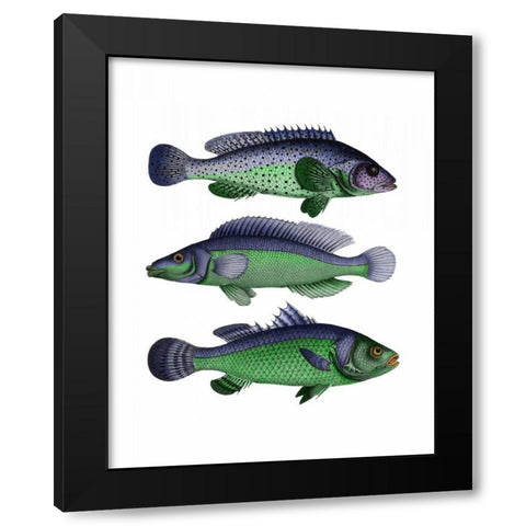 Blue and Green Fish Trio Black Modern Wood Framed Art Print by Fab Funky