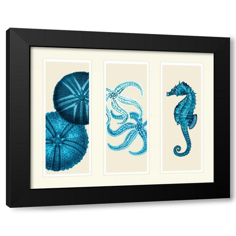 Three Panel Print Sea Urchin Starfish and Seahorse in Blue Black Modern Wood Framed Art Print with Double Matting by Fab Funky