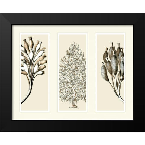 Trio Sea Sponges on 3 Panels Black Modern Wood Framed Art Print by Fab Funky