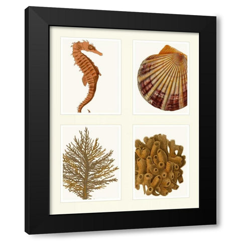 Seahorse coral and shell on 4 Panels Black Modern Wood Framed Art Print with Double Matting by Fab Funky