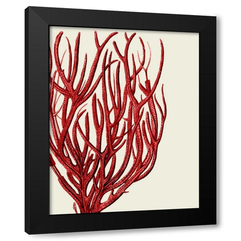Red Corals 2 c Black Modern Wood Framed Art Print by Fab Funky